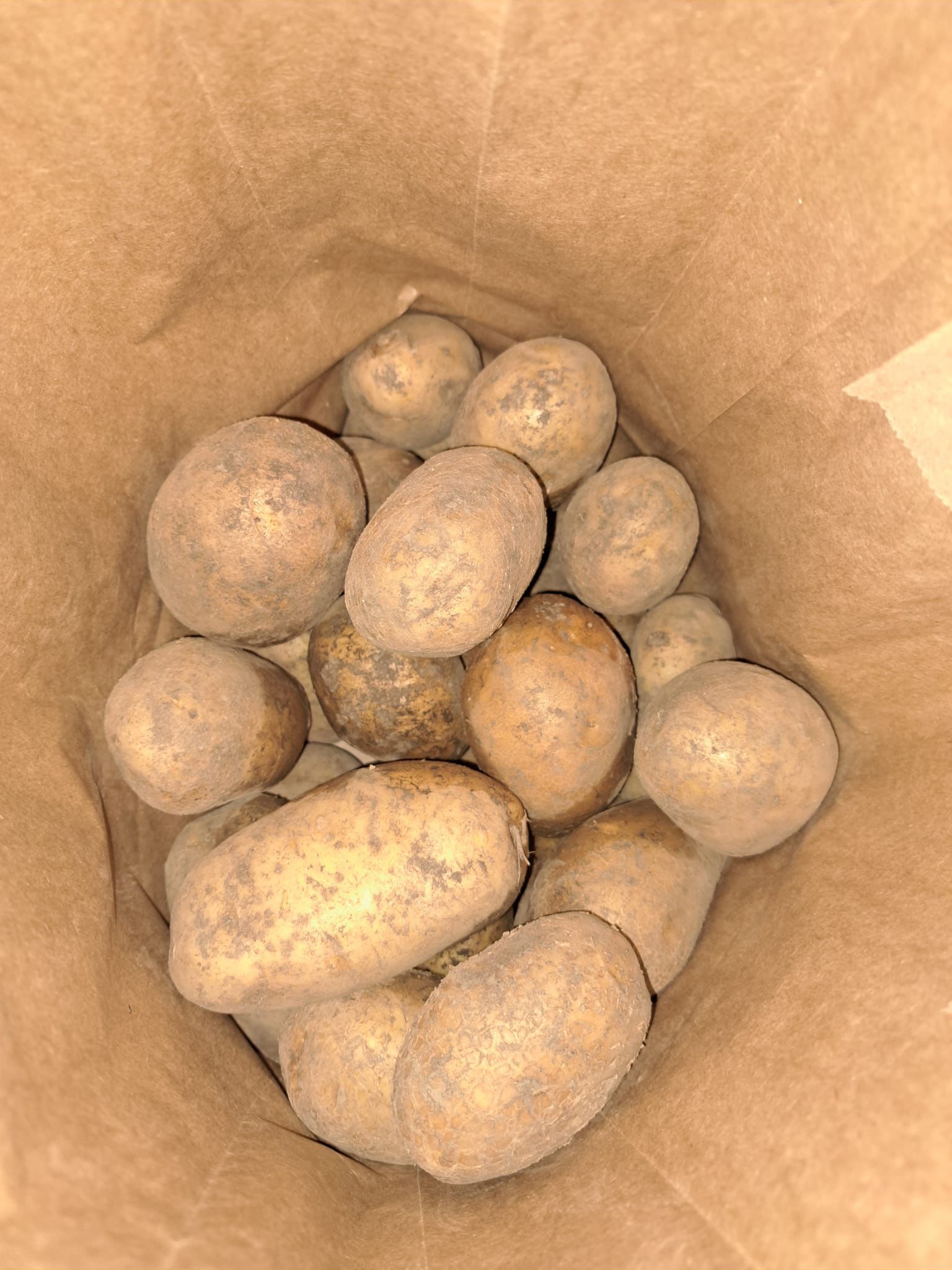 Kartoffeln mehlig- oder festkochend. 3kg oder 25kg Säcke im Angebot. Kann jeweils auch am Freitagabend ausgeliefert werden. Image